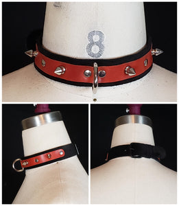 Red D-ring Collar